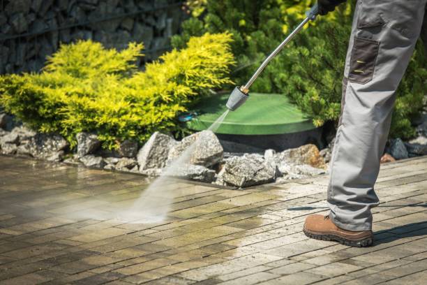 Best Gutter Cleaning and Brightening in Woxall, PA